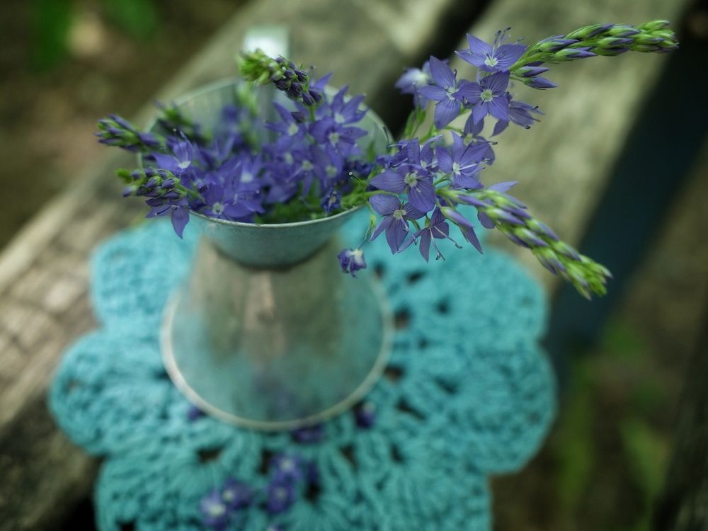 Photograph by Алла