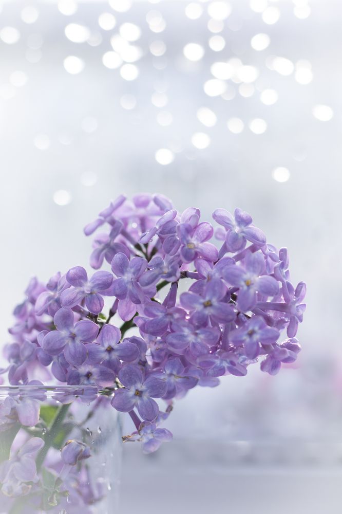 Photograph by Наталья Мотрий