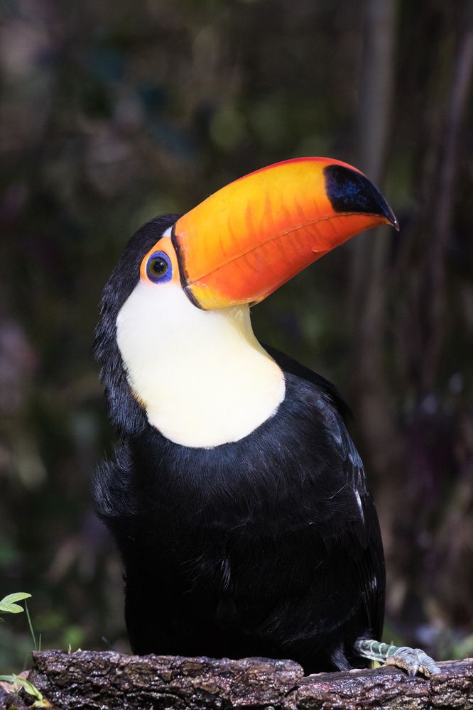 Photograph by Carlos Strelkov