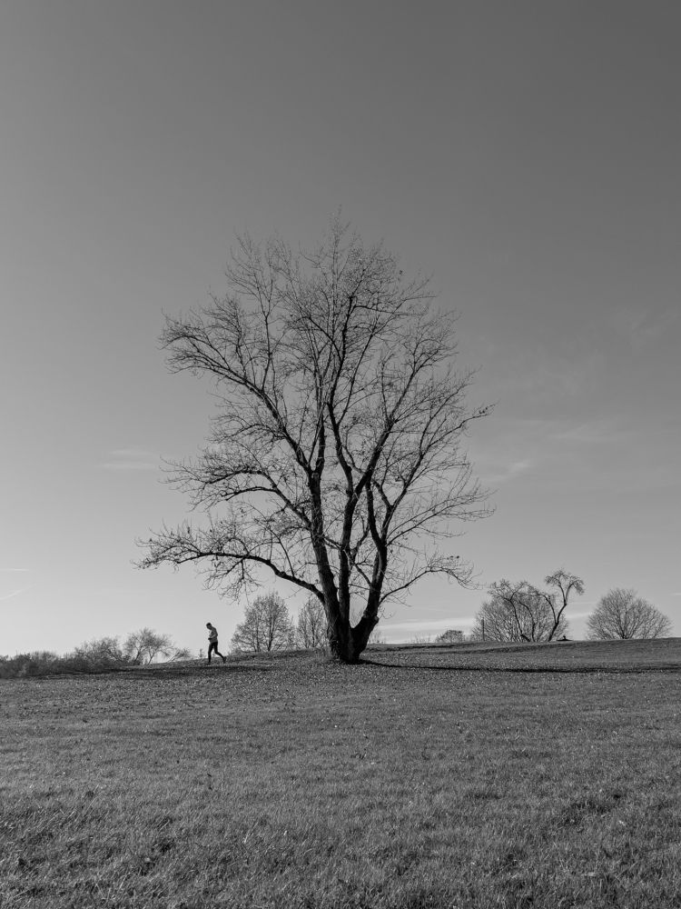 Photograph by Yohan Fernando