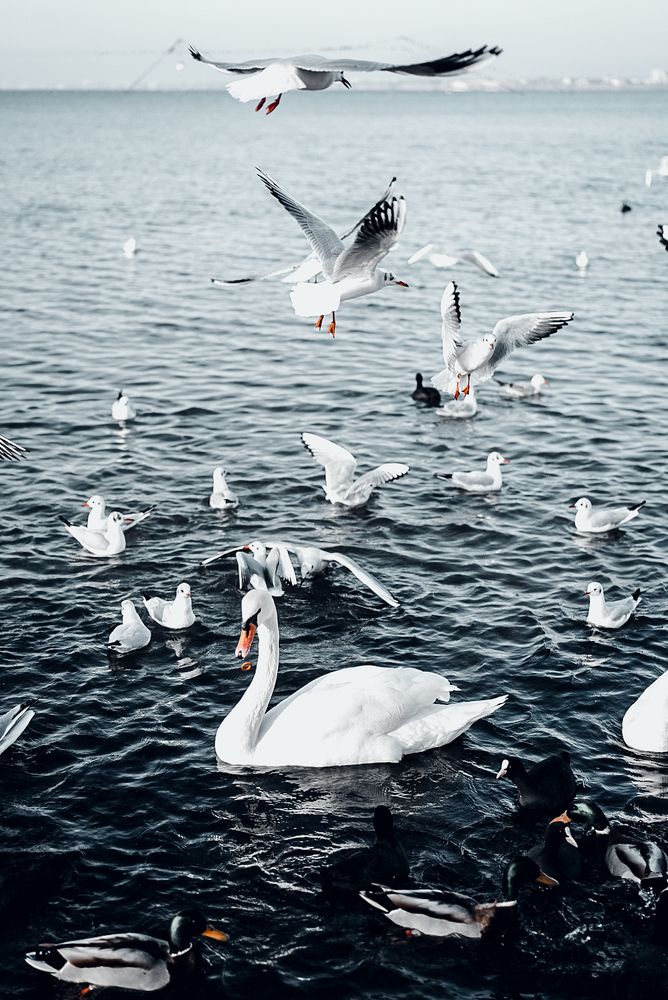 Photograph by Микаил Зулфугаров