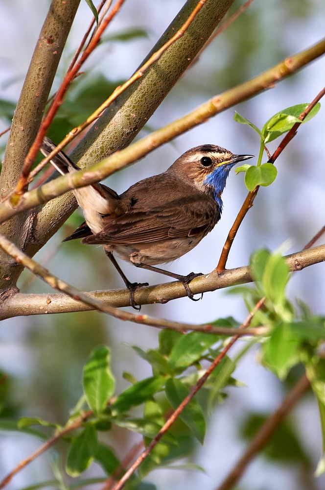 Photograph by Фатыхов Динар