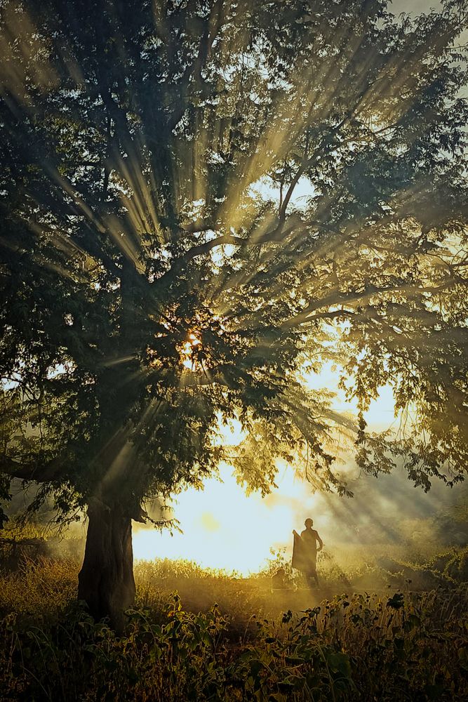 The beauty of his surroundings