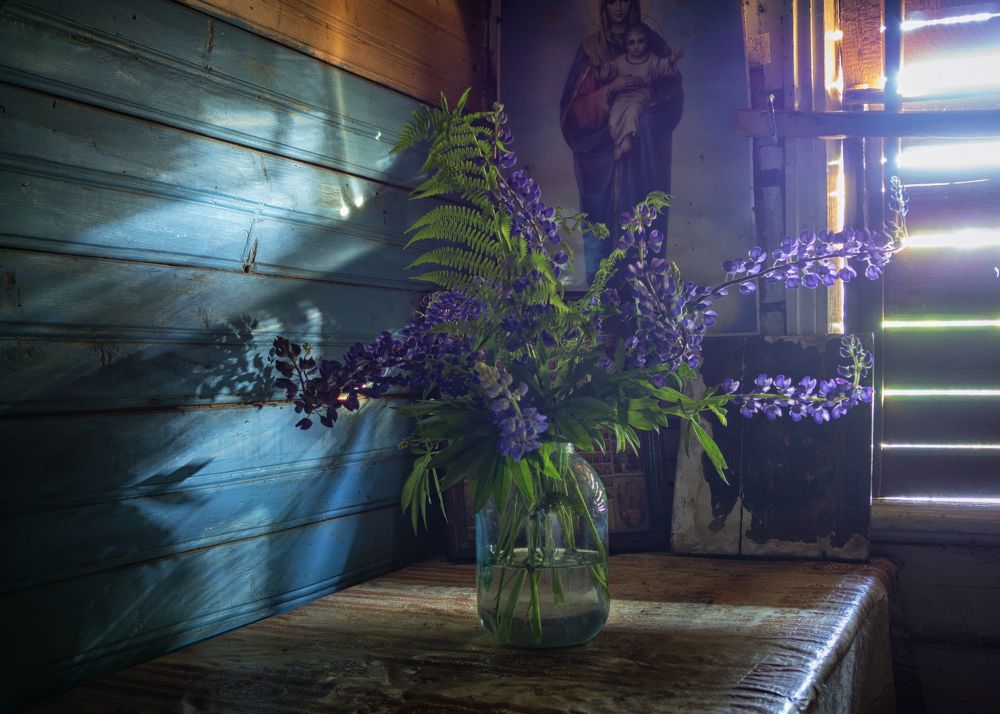 Фотография автора владимир шаронов