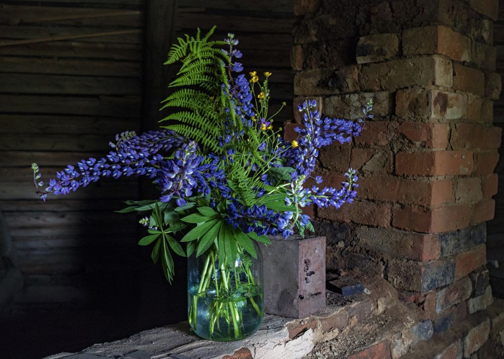 Фотография автора владимир шаронов