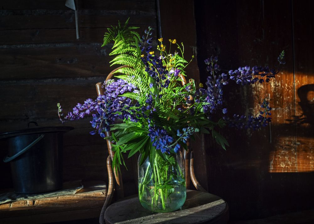 Фотография автора владимир шаронов