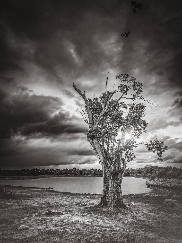 Photograph by Hewage K-vin R