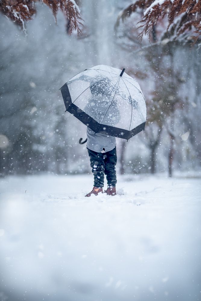 Фотография автора Ana Verdugo