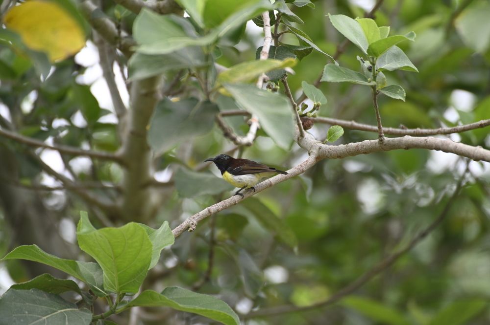 Photograph by Sharad Mansharamani