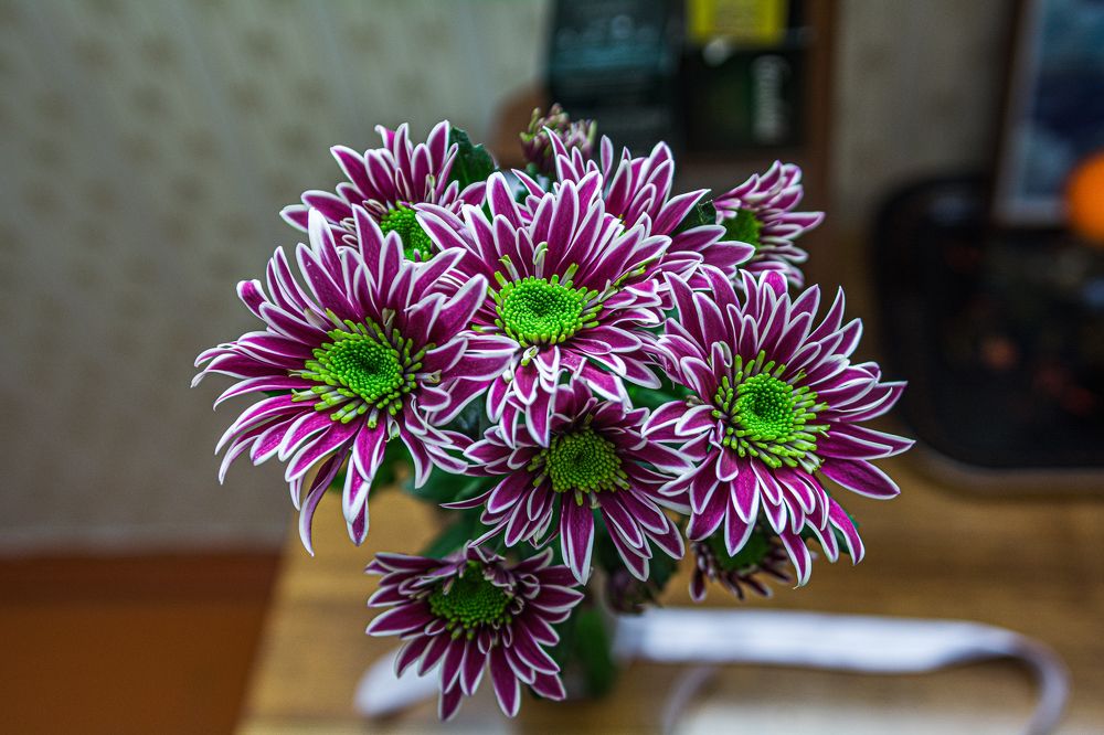 Photograph by Артём Александрович