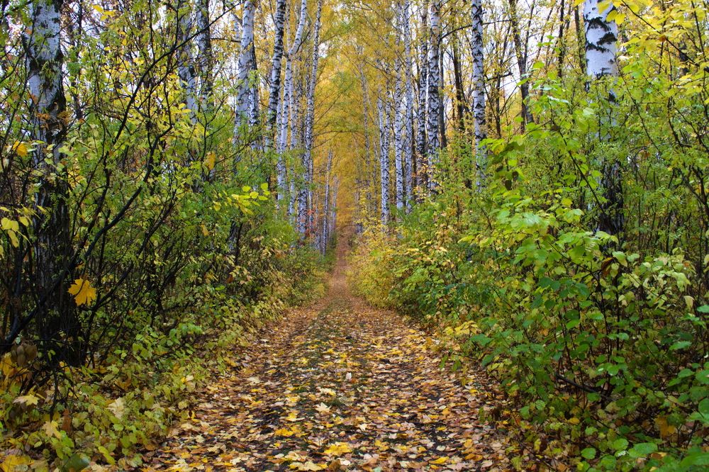 Photograph by Igor Kochkin