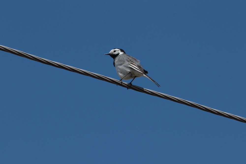 Photograph by Светлана Соколова