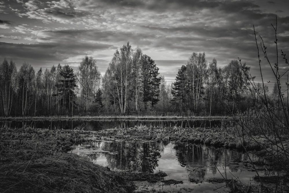 Photograph by Евгений Калагаев