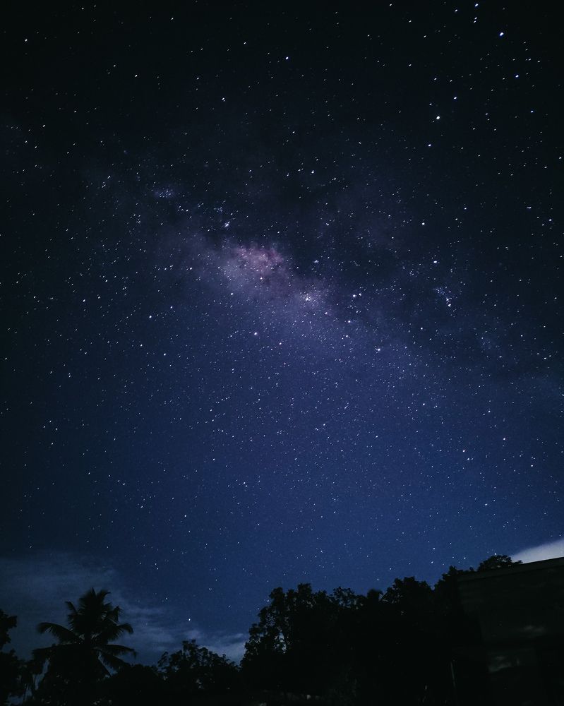 Photograph by Vishnu Subhash