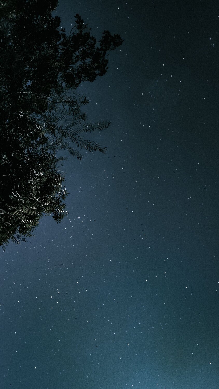 Photo #7750537