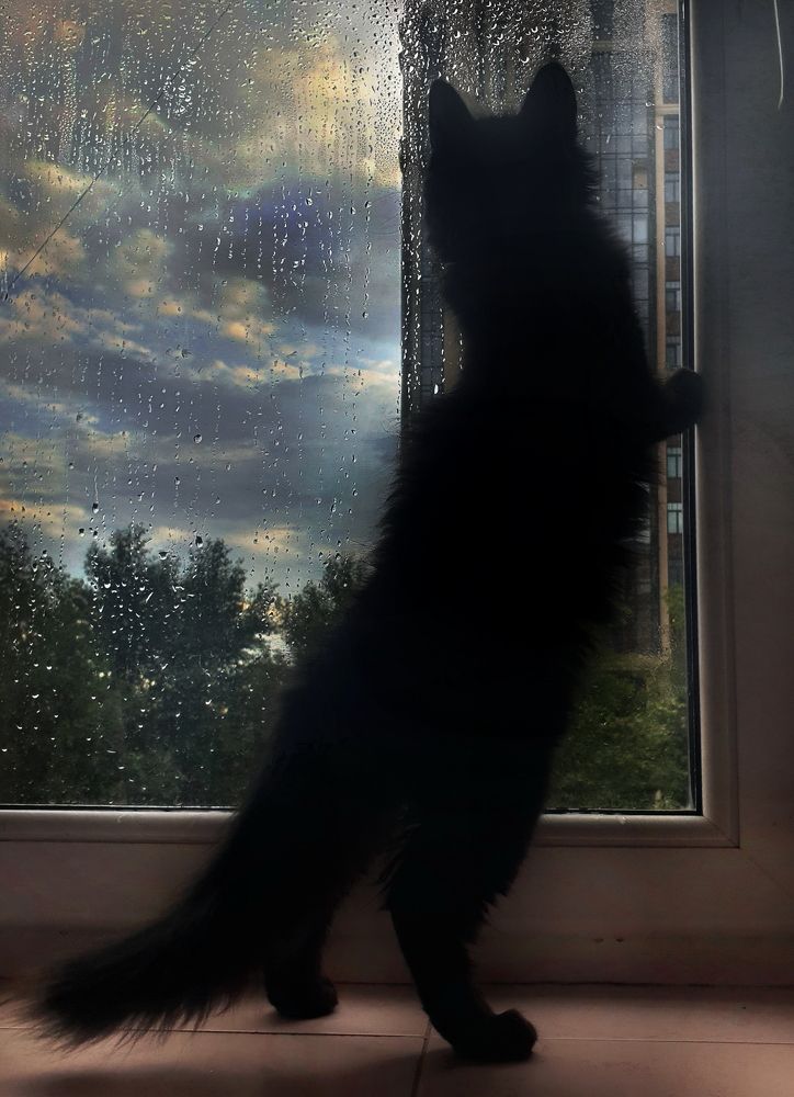 Photograph by Игорь