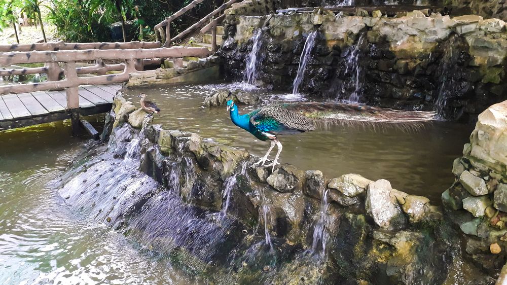 Photograph by Terence Ignatius