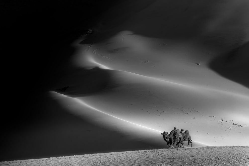 Photograph by Александр Ипполитов