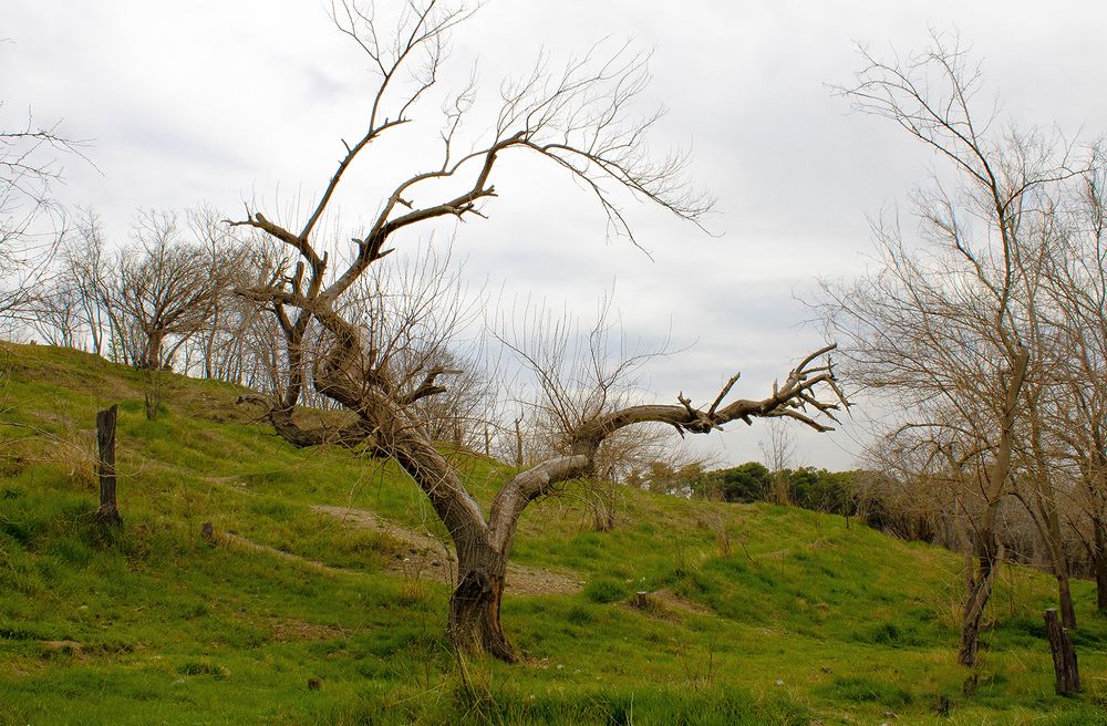 Photograph by Andre Beygijani