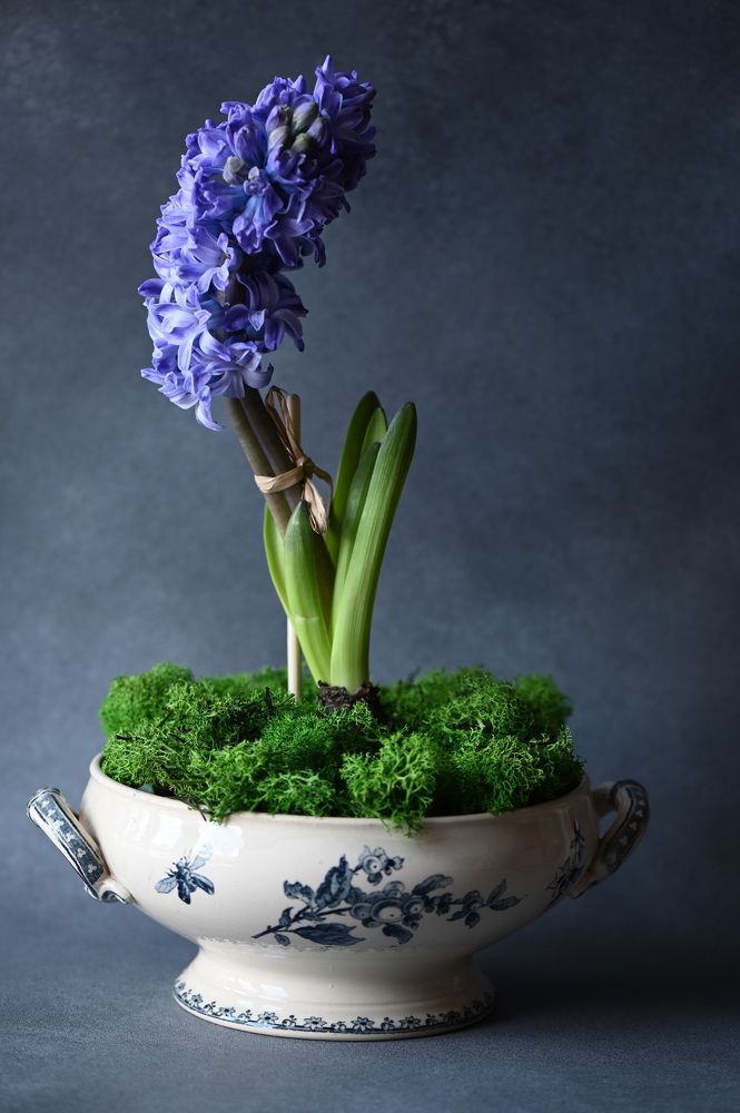 Photograph by Ирина Александрова