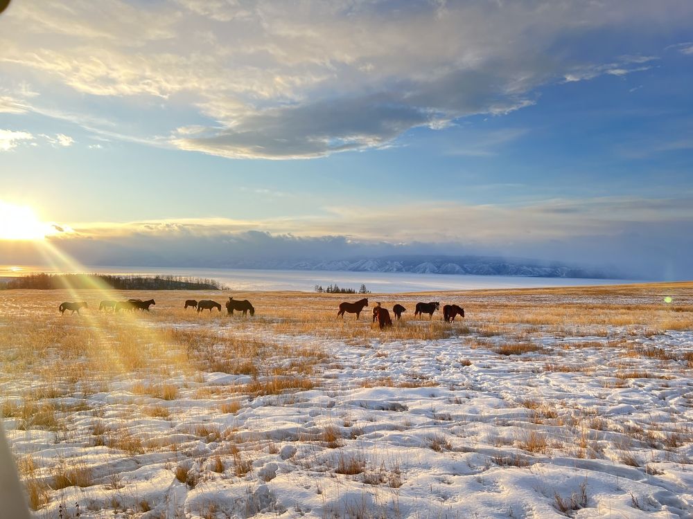 Photograph by Evgeniya