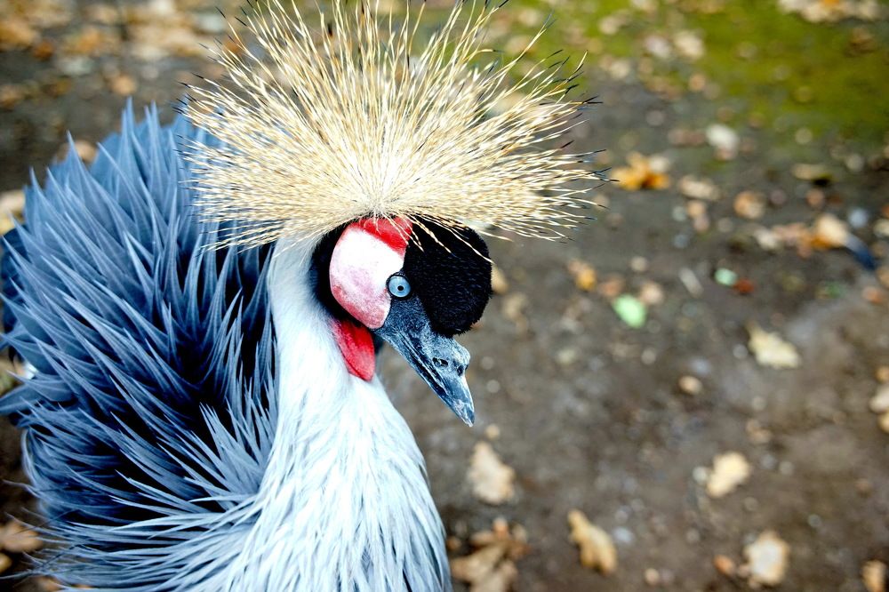 Photograph by Армен Арутюнов