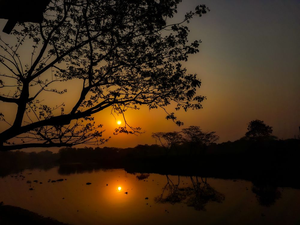 Photograph by Mehedi Hasan Srabon