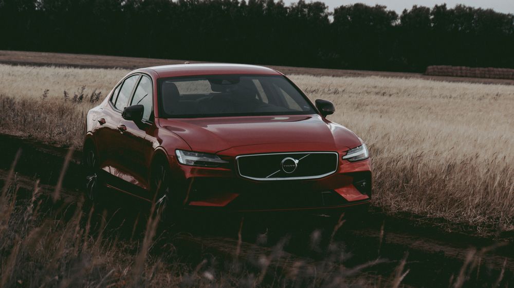 Photograph by _ AZIMOV