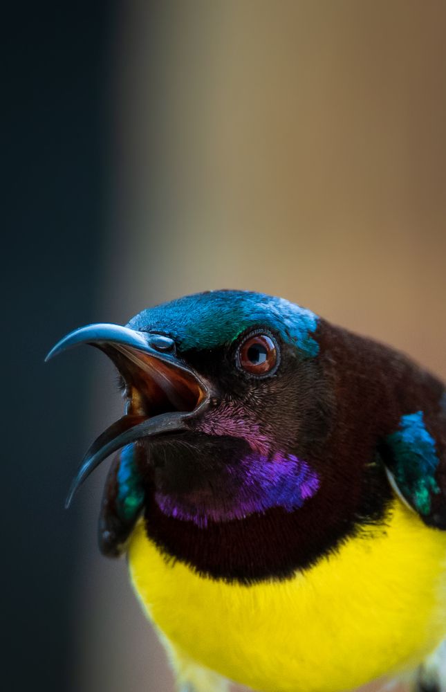 Photograph by Jeyanayagam Jeyathees