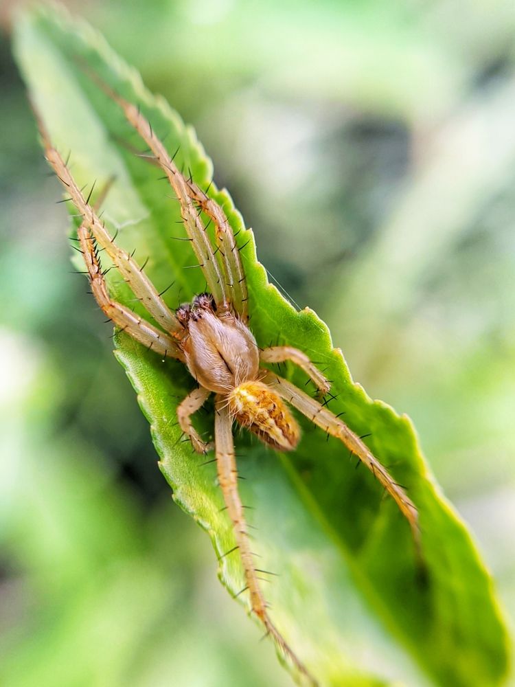 Photograph by Jharna Manna