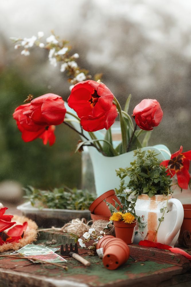 Фотография автора Виктория Литвиненко