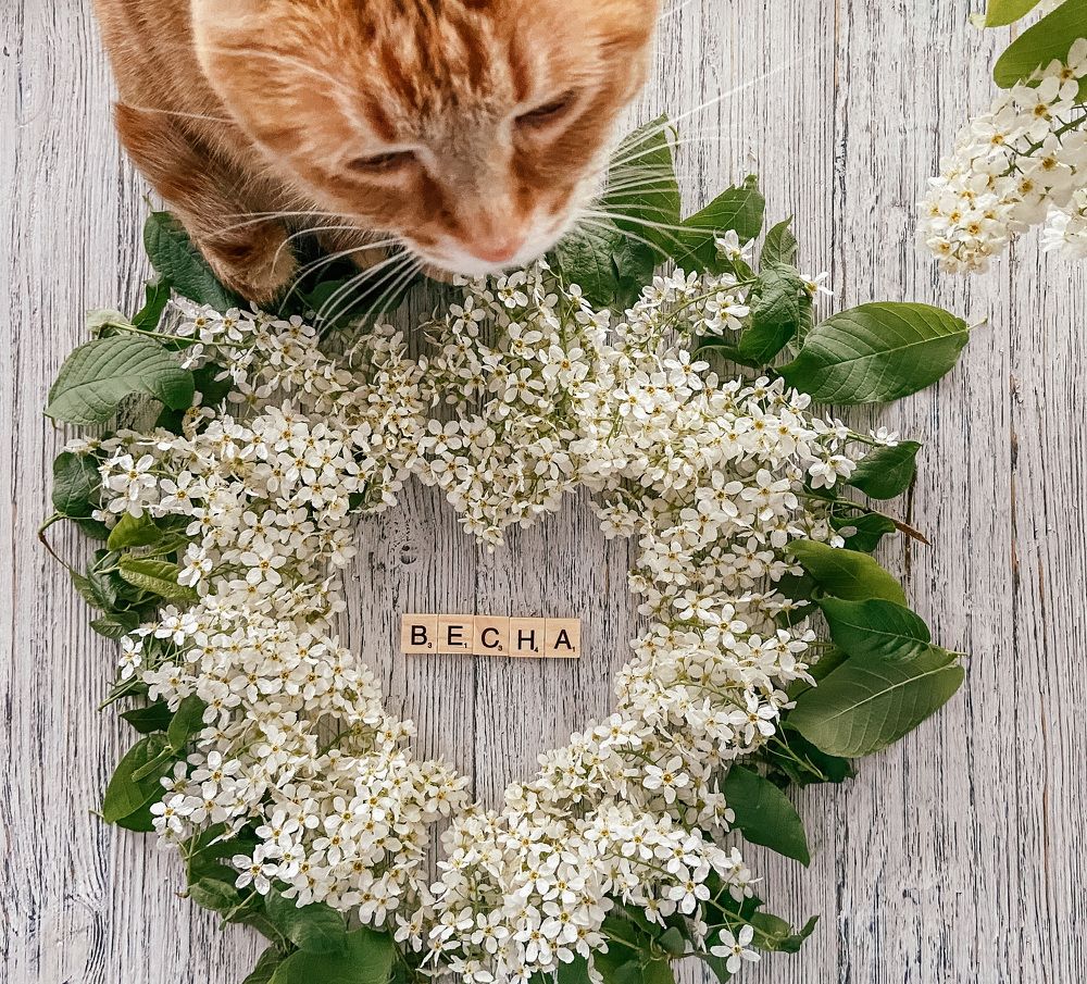 Photograph by Маргарита