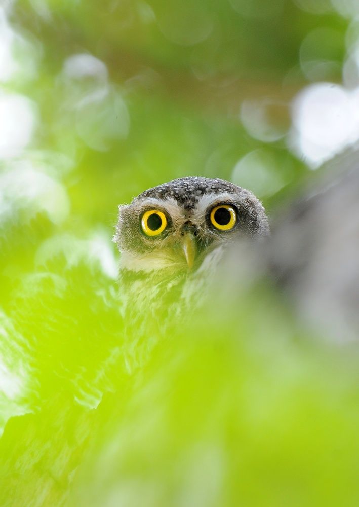 Photograph by George S George