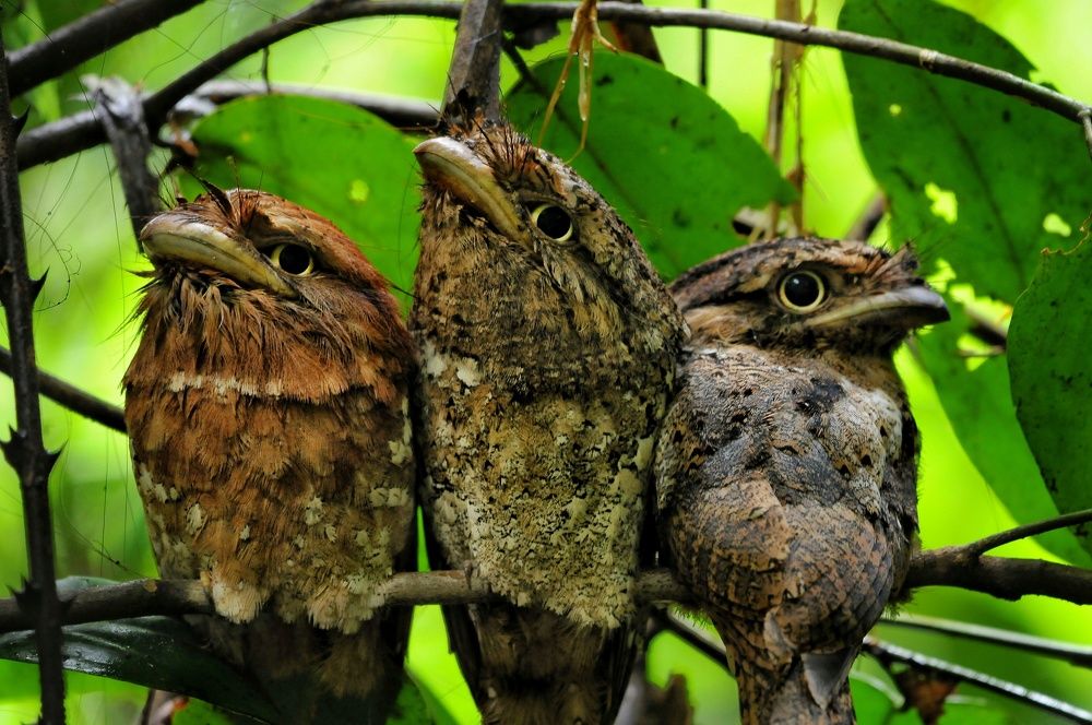 Photograph by George S George