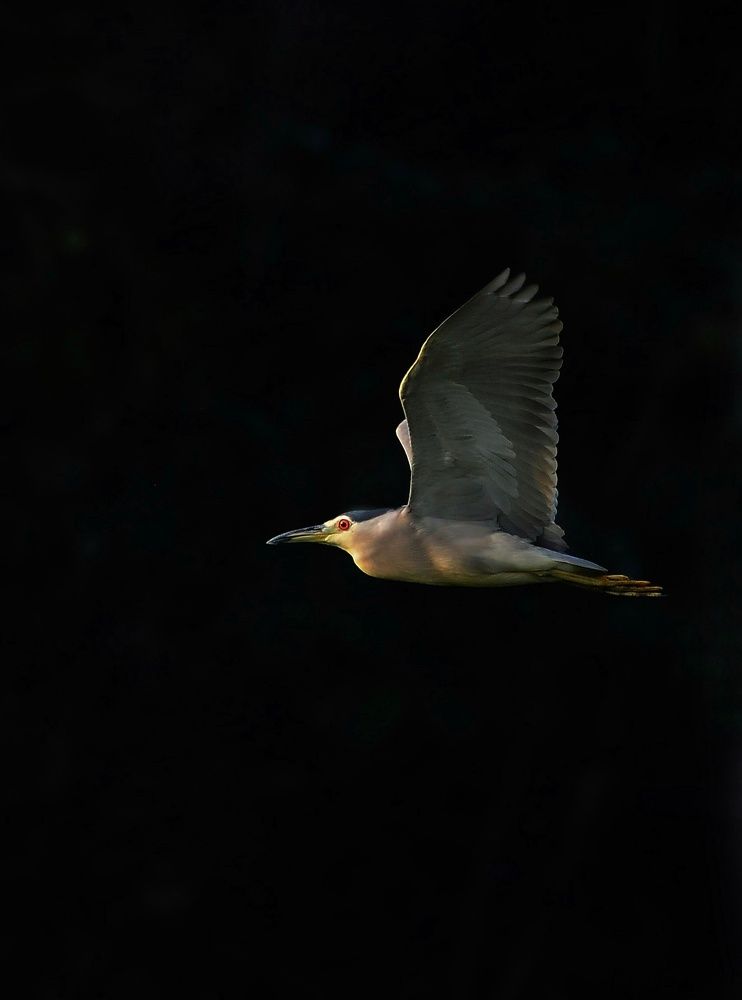 Photograph by George S George