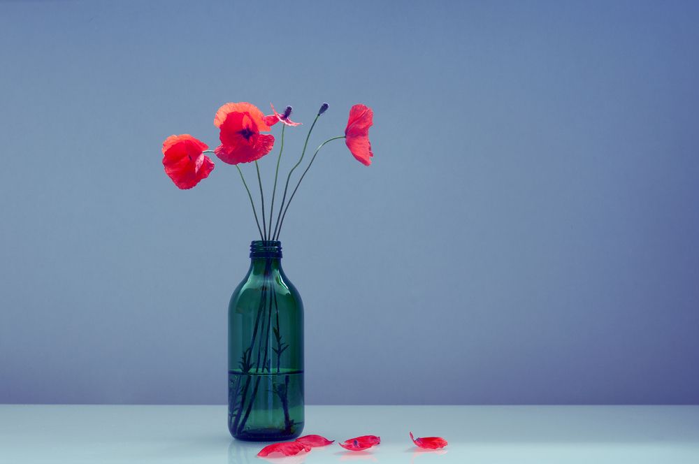 Фотография автора Elena Ozornina