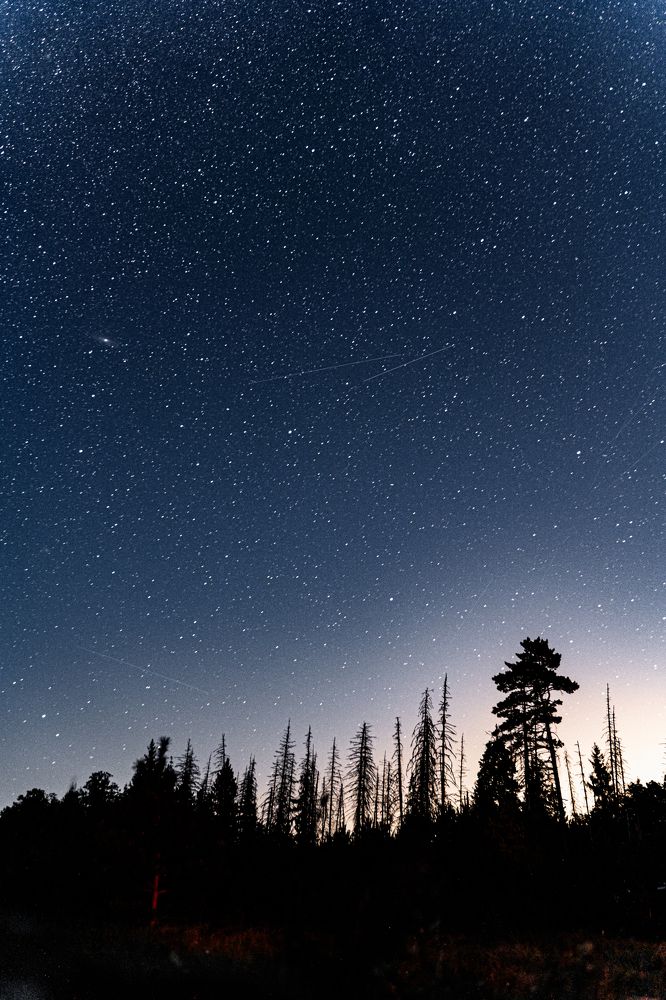 Photograph by Фархат Сабирзянов