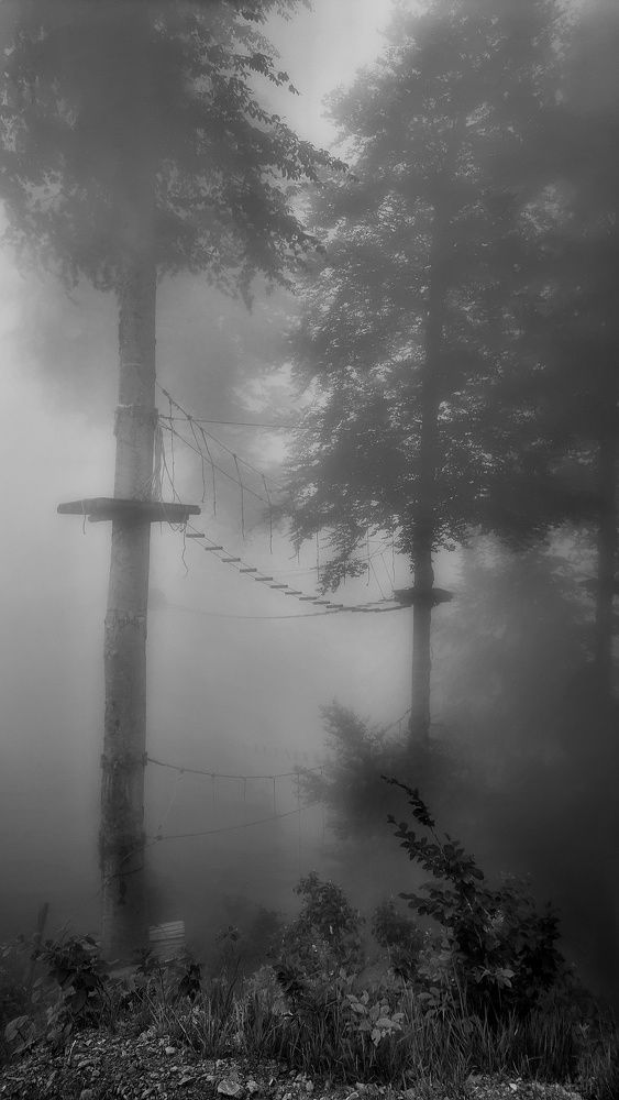 Фотография автора Евгения Остроумова