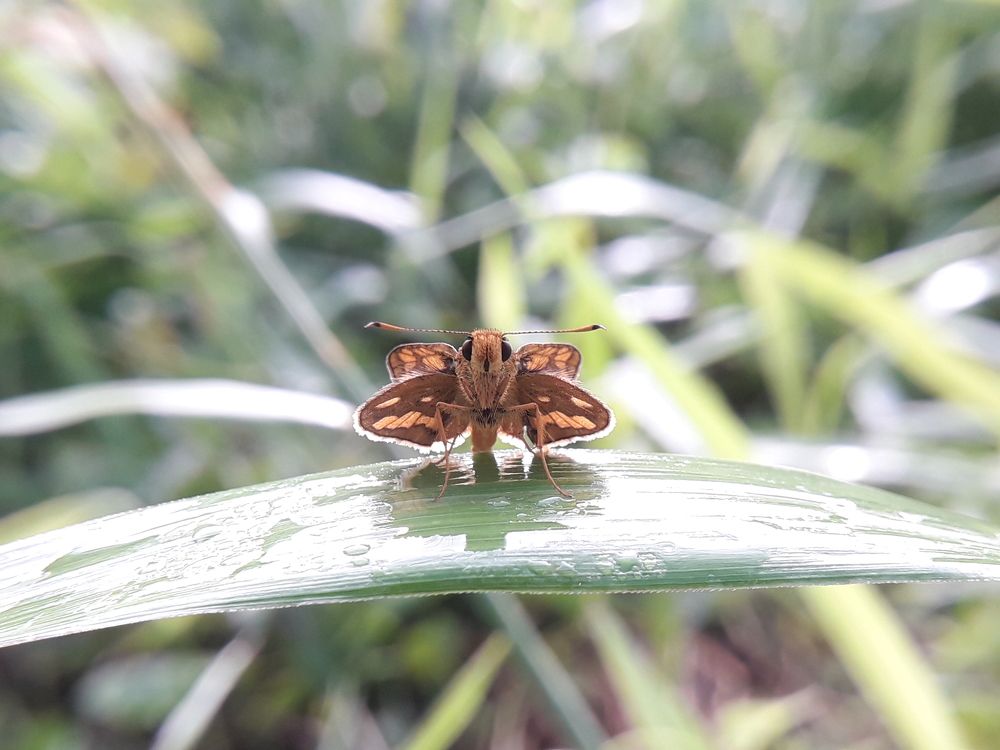 Photograph by Terence Ignatius