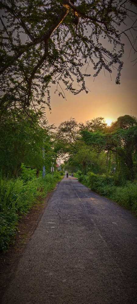 Nostalgia: Sunset And Narrow Lane.