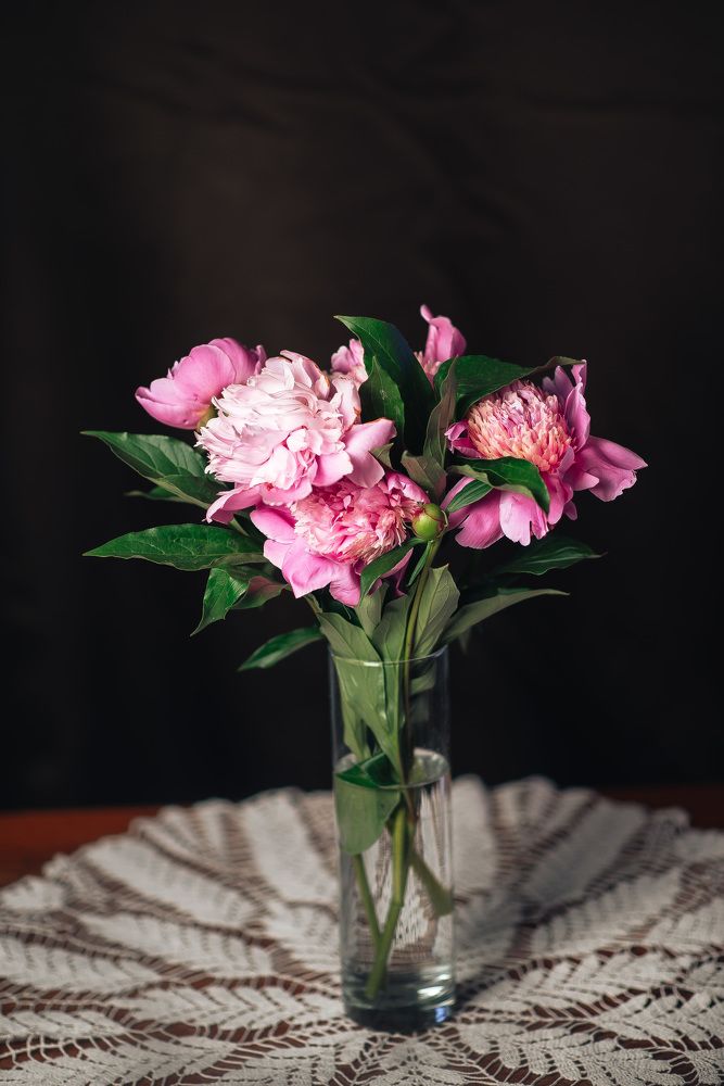 Photograph by Светлана Антипова