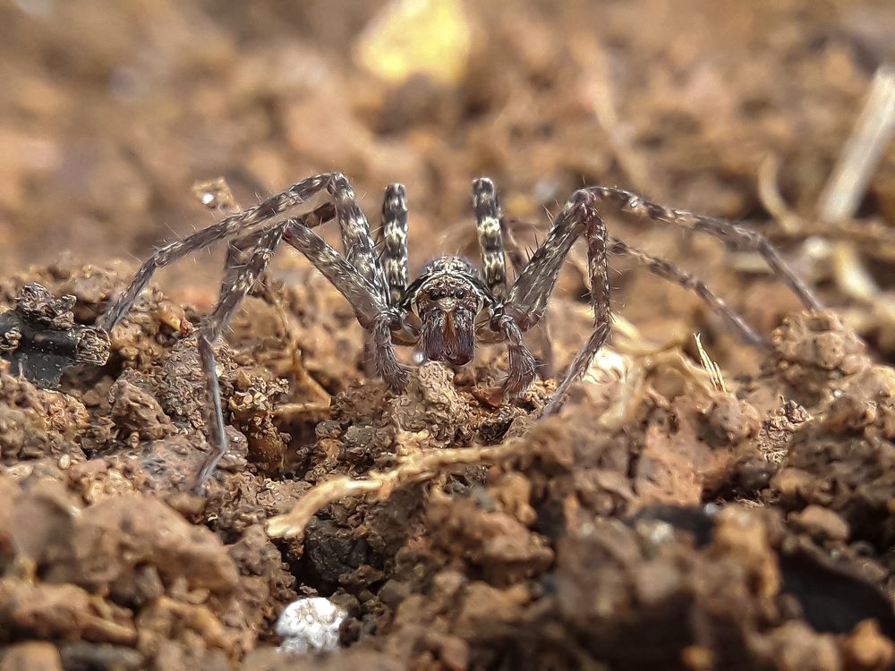 Photograph by Terence Ignatius