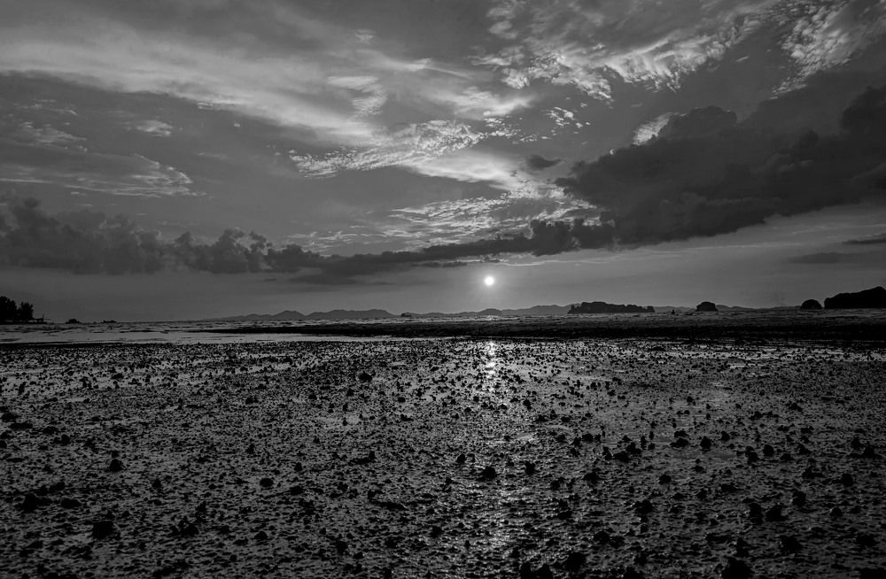 Black and white landscape