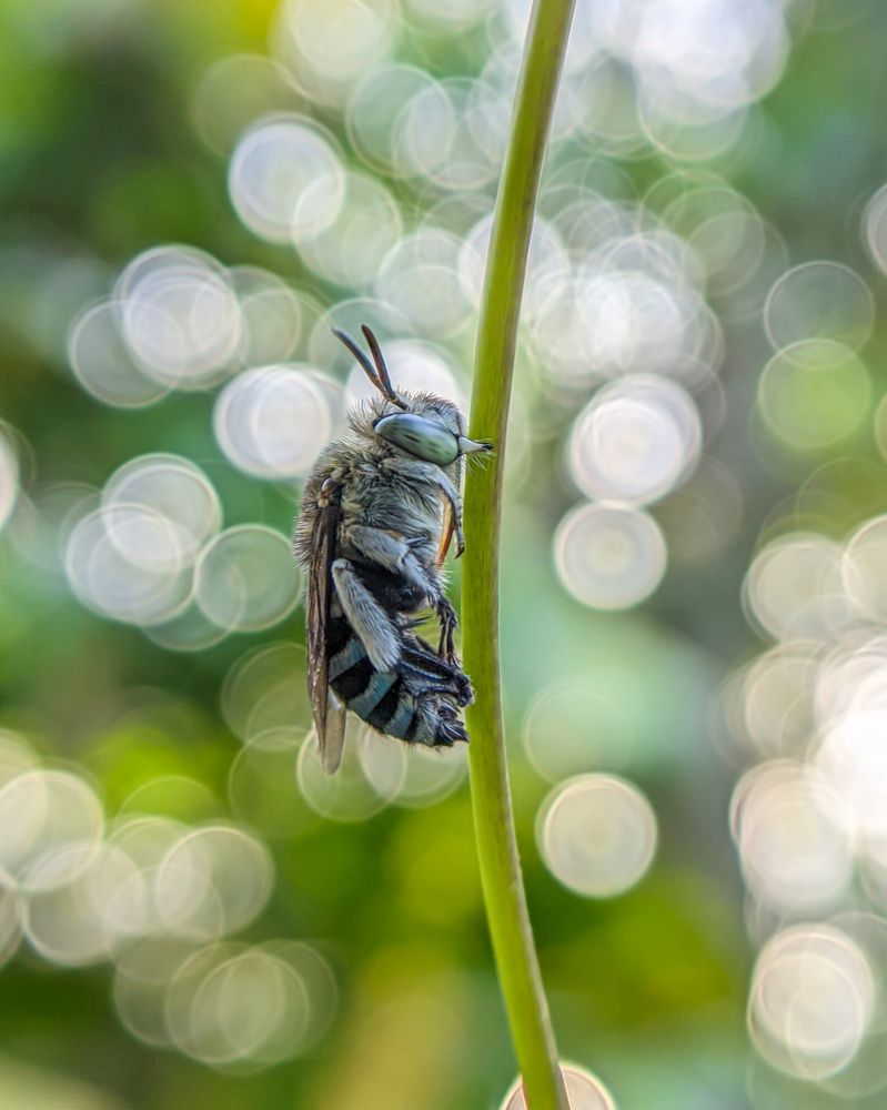 Photograph by Ajeesh A