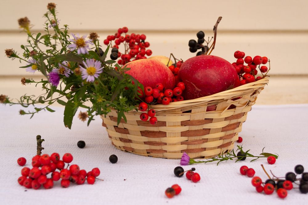 Photograph by Olga Smirnova