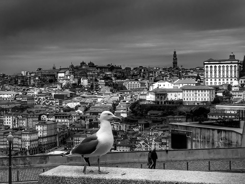 Фотография автора Nuno Pacheco