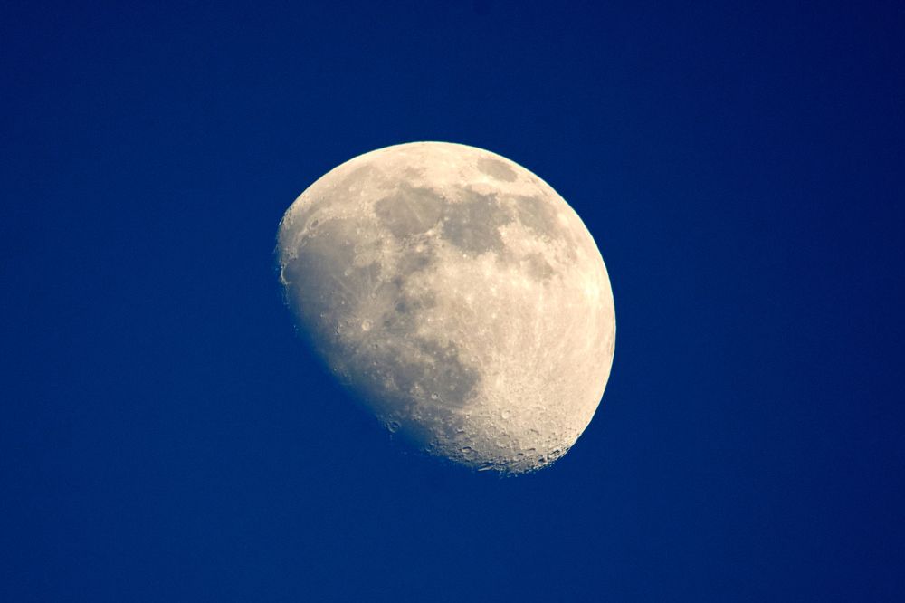 Photograph by 