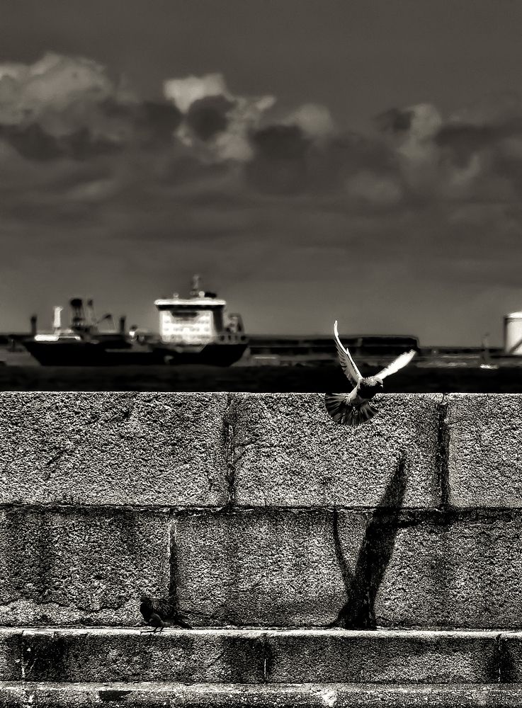 Фотография автора Nuno Pacheco