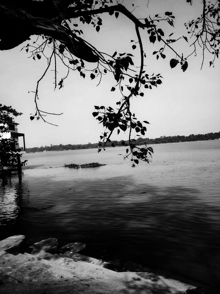 Photograph by Rounak hazra