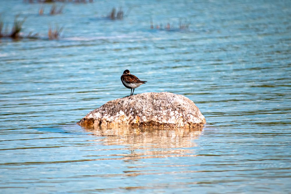 Photograph by Александр Безуглый